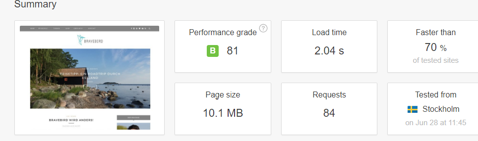 Pagespeed startseite bravebird